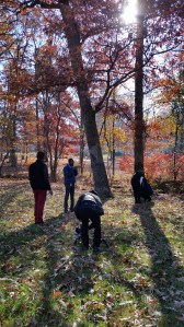 location "Collision Envisage"